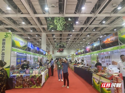 新疆農產品長沙交易會盛大開幕，超300種初級產品等你來品鑒